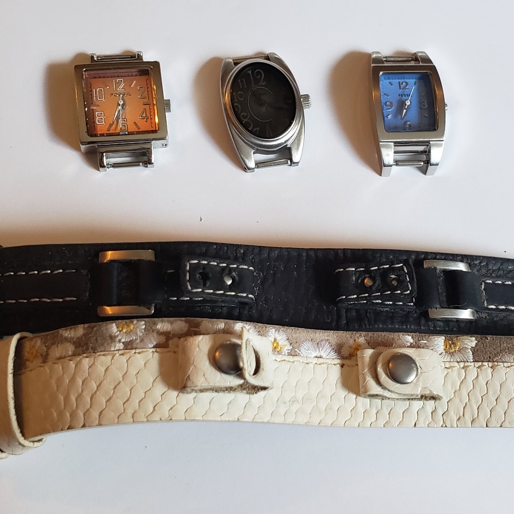 Fossils watch set